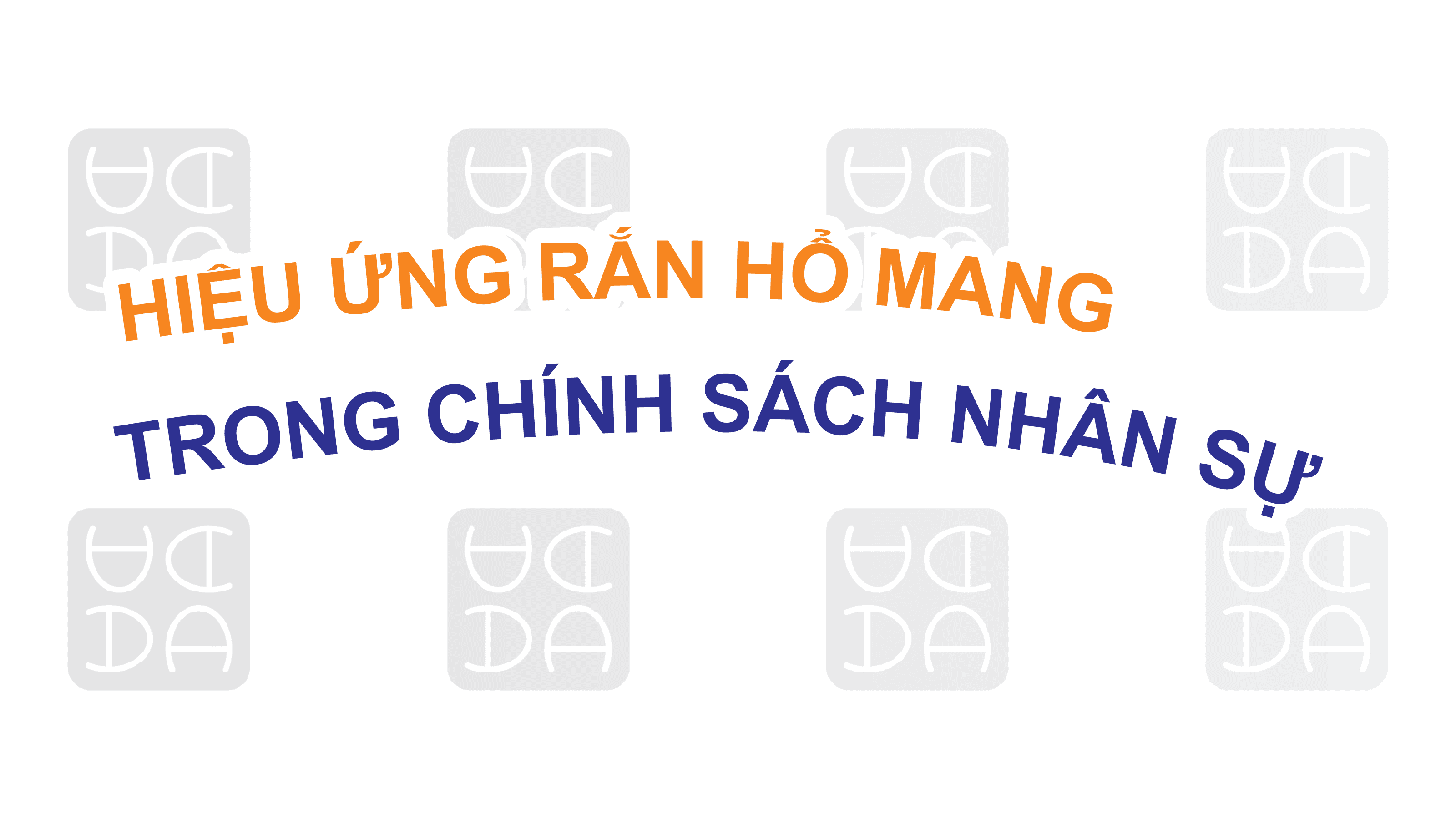 HIỆU ỨNG RẮN HỔ MANG TRONG CHÍNH SÁCH NHÂN SỰ